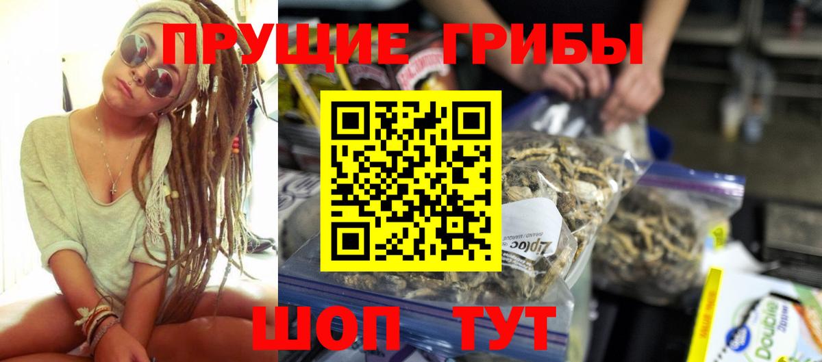 Псилоцибиновые грибы Psilocybe Киселёвск