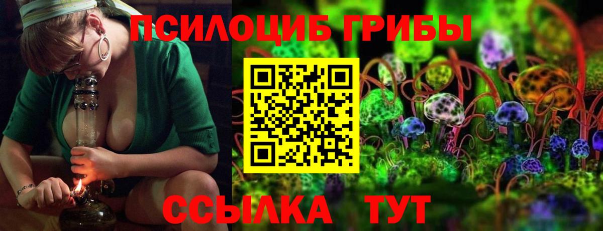 Киселёвск  Псилоцибиновые грибы GOLDEN TEACHER  наркота  Вход с VPN 